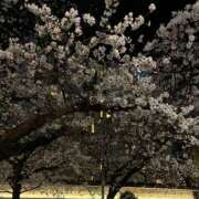 ヒメ日記 2025/04/04 16:59 投稿 ふたば 奥様電車