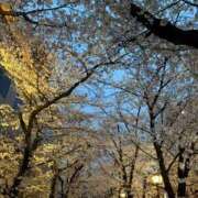 ヒメ日記 2025/04/05 21:16 投稿 ふたば 奥様電車