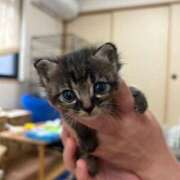 ヒメ日記 2025/10/29 23:35 投稿 やよい☆連日完売素人JK JKサークル