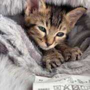 ヒメ日記 2025/11/01 15:15 投稿 やよい☆連日完売素人JK JKサークル