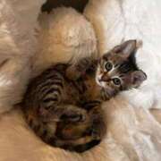 ヒメ日記 2025/11/03 22:07 投稿 やよい☆連日完売素人JK JKサークル