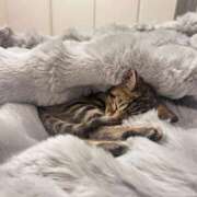 ヒメ日記 2025/11/06 20:17 投稿 やよい☆連日完売素人JK JKサークル