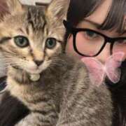 ヒメ日記 2025/11/12 21:51 投稿 やよい☆連日完売素人JK JKサークル