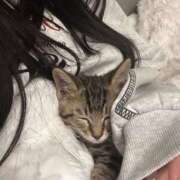 ヒメ日記 2025/11/15 13:00 投稿 やよい☆連日完売素人JK JKサークル