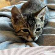 ヒメ日記 2025/11/22 23:41 投稿 やよい☆連日完売素人JK JKサークル