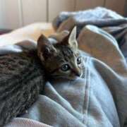 ヒメ日記 2025/11/28 18:38 投稿 やよい☆連日完売素人JK JKサークル