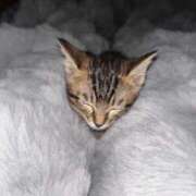 ヒメ日記 2025/12/04 02:45 投稿 やよい☆連日完売素人JK JKサークル