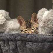 ヒメ日記 2025/12/07 20:10 投稿 やよい☆連日完売素人JK JKサークル