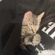 ヒメ日記 2025/12/15 21:36 投稿 やよい☆連日完売素人JK JKサークル