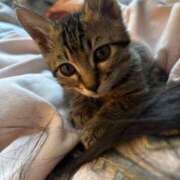 やよい☆連日完売素人JK おはよう☀️ JKサークル