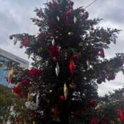 ヒメ日記 2025/12/19 17:19 投稿 やよい☆連日完売素人JK JKサークル