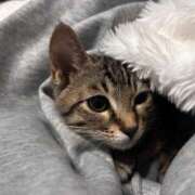 ヒメ日記 2025/12/28 22:00 投稿 やよい☆連日完売素人JK JKサークル