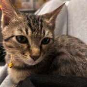 ヒメ日記 2025/12/29 23:34 投稿 やよい☆連日完売素人JK JKサークル