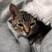 ヒメ日記 2025/12/31 23:15 投稿 やよい☆連日完売素人JK JKサークル