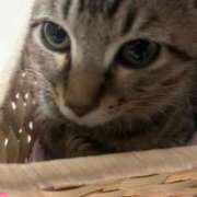 ヒメ日記 2026/01/05 16:02 投稿 やよい☆連日完売素人JK JKサークル