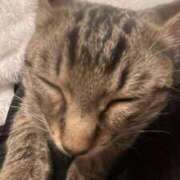 ヒメ日記 2026/01/22 23:34 投稿 やよい☆連日完売素人JK JKサークル