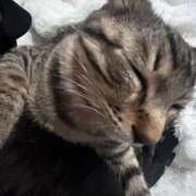 ヒメ日記 2026/02/01 15:05 投稿 やよい☆連日完売素人JK JKサークル