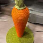 ヒメ日記 2026/02/11 23:03 投稿 やよい☆連日完売素人JK JKサークル