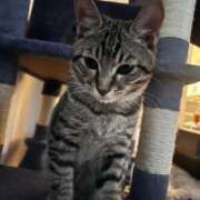 ヒメ日記 2026/02/11 23:20 投稿 やよい☆連日完売素人JK JKサークル