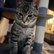 ヒメ日記 2026/02/21 03:04 投稿 やよい☆連日完売素人JK JKサークル