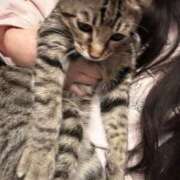 ヒメ日記 2026/02/22 18:03 投稿 やよい☆連日完売素人JK JKサークル