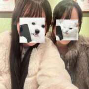 ヒメ日記 2026/02/24 20:45 投稿 やよい☆連日完売素人JK JKサークル