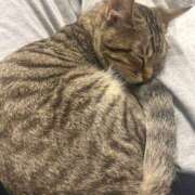 ヒメ日記 2026/03/04 20:27 投稿 やよい☆連日完売素人JK JKサークル