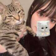 ヒメ日記 2026/03/10 20:16 投稿 やよい☆連日完売素人JK JKサークル