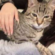 ヒメ日記 2026/03/11 23:21 投稿 やよい☆連日完売素人JK JKサークル