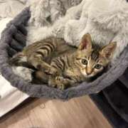 ヒメ日記 2026/03/14 22:29 投稿 やよい☆連日完売素人JK JKサークル