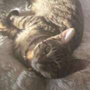 ヒメ日記 2026/03/21 20:42 投稿 やよい☆連日完売素人JK JKサークル