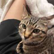 ヒメ日記 2026/03/22 16:46 投稿 やよい☆連日完売素人JK JKサークル