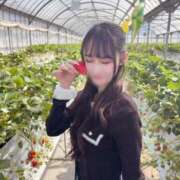 ヒメ日記 2026/04/02 22:02 投稿 やよい☆連日完売素人JK JKサークル