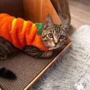 ヒメ日記 2026/04/02 22:41 投稿 やよい☆連日完売素人JK JKサークル