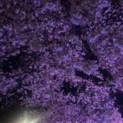 ヒメ日記 2026/04/02 22:50 投稿 やよい☆連日完売素人JK JKサークル