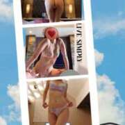 ヒメ日記 2024/12/14 12:36 投稿 ここみ 人妻美人館