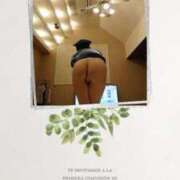 ヒメ日記 2024/12/14 13:33 投稿 ここみ 人妻美人館