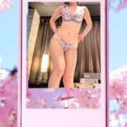 ヒメ日記 2025/04/05 06:56 投稿 ここみ 人妻美人館