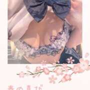 ヒメ日記 2025/04/06 09:09 投稿 ここみ 人妻美人館