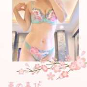 ヒメ日記 2025/04/07 09:08 投稿 ここみ 人妻美人館