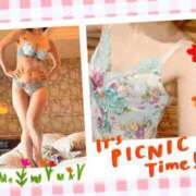 ヒメ日記 2025/04/12 09:26 投稿 ここみ 人妻美人館