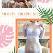 ヒメ日記 2025/04/26 08:10 投稿 ここみ 人妻美人館