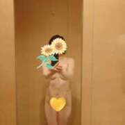 ヒメ日記 2025/07/25 06:37 投稿 ここみ 人妻美人館