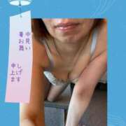 ヒメ日記 2025/07/31 06:37 投稿 ここみ 人妻美人館