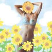 ヒメ日記 2025/08/07 07:09 投稿 ここみ 人妻美人館