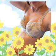 ヒメ日記 2025/08/12 23:55 投稿 ここみ 人妻美人館