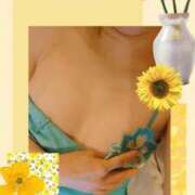 ヒメ日記 2025/09/07 12:19 投稿 ここみ 人妻美人館