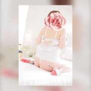 ヒメ日記 2026/04/27 07:02 投稿 ここみ 人妻美人館