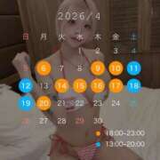 ヒメ日記 2026/04/03 16:53 投稿 れな ギャルズネットワーク大阪