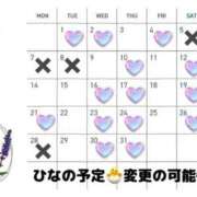 ヒメ日記 2025/06/24 16:30 投稿 ひな 渋谷平成女学園